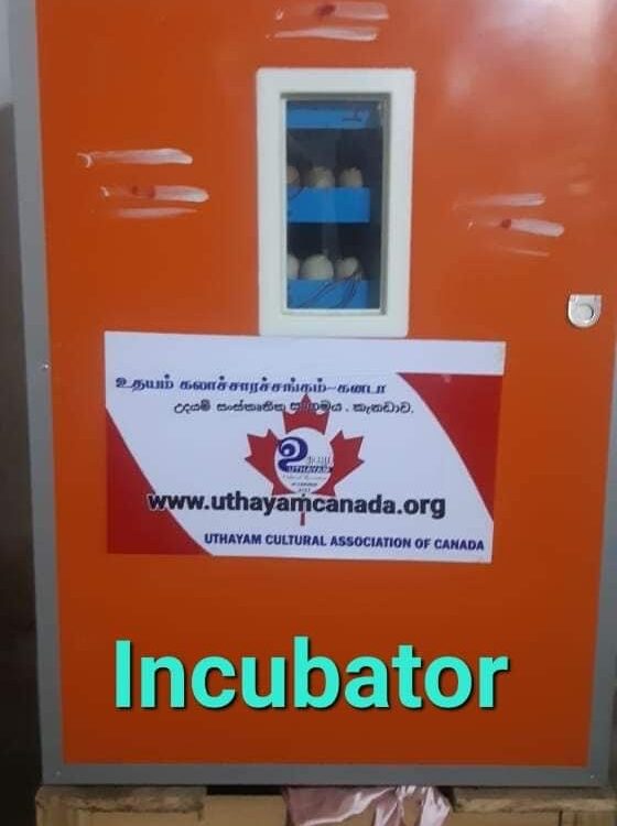 கொடிகாமத்தில் குடும்பம் ஒன்றிற்கு Incubator வழங்கப்பட்டமை